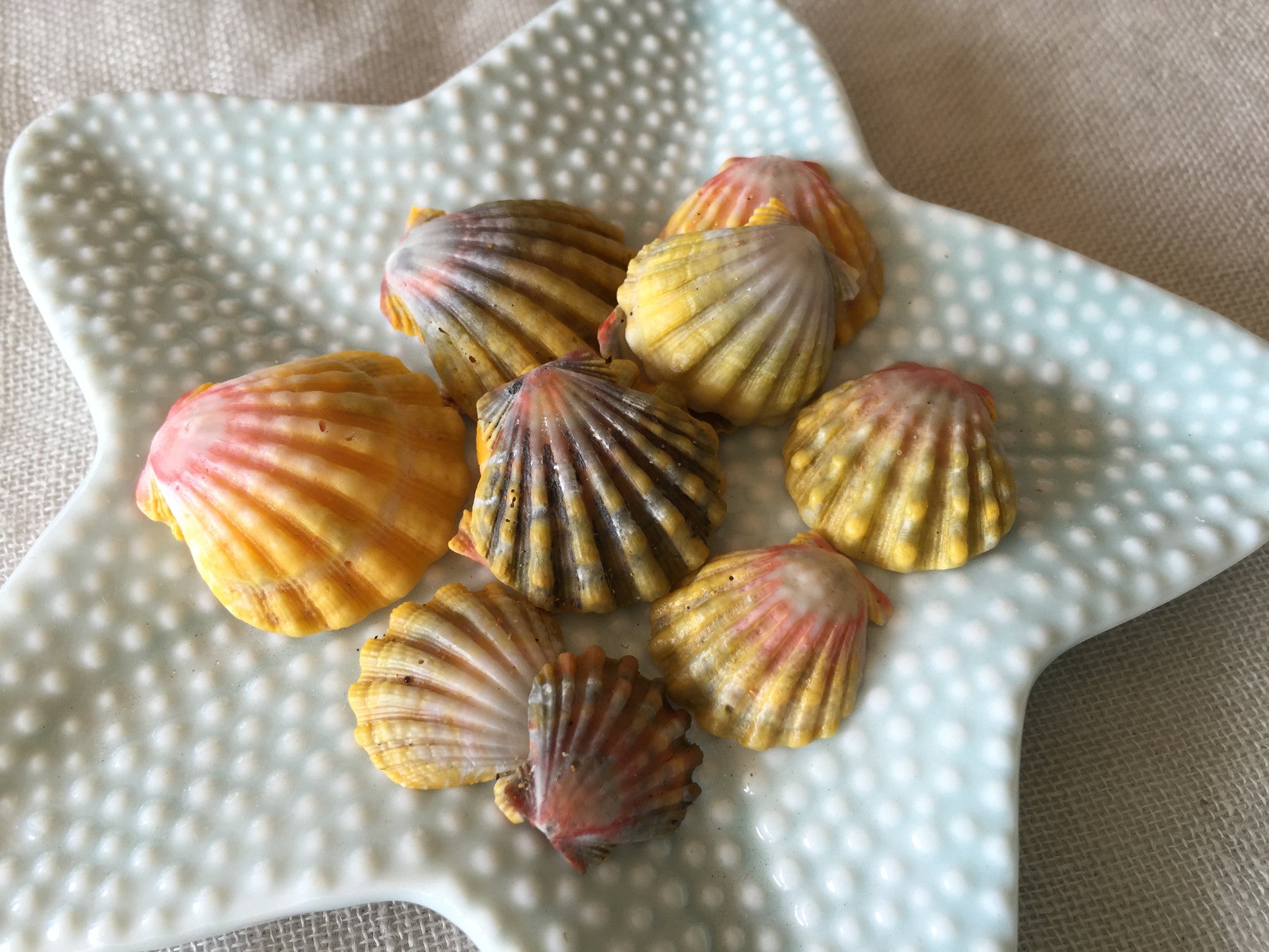 Free Shipping on orders over $100